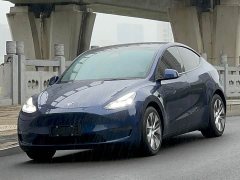 Tesla Model Y Standard Range RWD - ფოტო 1