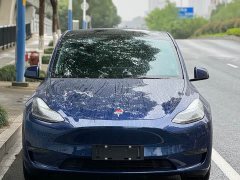 Tesla Model Y Standard Range RWD - ფოტო 2