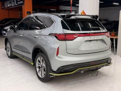 Haval Chitu Jingxiang Edition 1.5T Purple Copper Rabbit - ფოტო 4