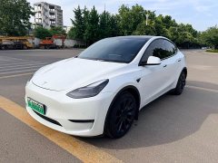 Tesla Model Y Long Range All-Wheel Drive - ფოტო 1