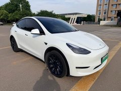 Tesla Model Y Long Range All-Wheel Drive - ფოტო 3