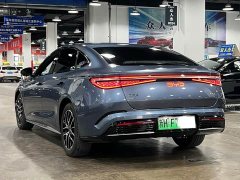 BYD Dolphin 07 DM-i 1.5L 125km Elite - ფოტო 6