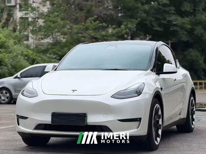Tesla Model Y 2021 Standard Range RWD - ავტომობილი ჩინეთიდან