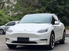 Tesla Model Y 2021 Standard Range RWD - ფოტო 1