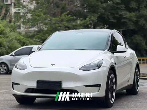 2022 Tesla Model Y 2021 Standard Range RWD - ავტომობილი ჩინეთიდან