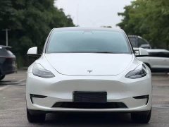 Tesla Model Y 2021 Standard Range RWD - ფოტო 2