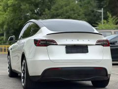 Tesla Model Y 2021 Standard Range RWD - ფოტო 7