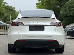 Tesla Model Y 2021 Standard Range RWD - ფოტო 8