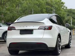 Tesla Model Y 2021 Standard Range RWD - ფოტო 9