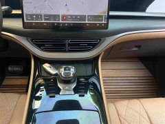 Denza BYD Denza D9 2022 EV 600 AWD Flagship - ფოტო 11