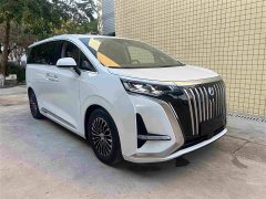 Denza BYD Denza D9 2022 EV 600 AWD Flagship - ფოტო 3