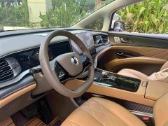 Denza BYD Denza D9 2022 EV 600 AWD Flagship - ფოტო 8