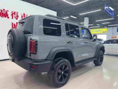 Tank 300 2021 Off-Road Edition 2.0T Conqueror - ფოტო 6