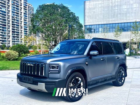 2025 Haval Manlong Gasoline 2.0T 4WD Ultra - ავტომობილი ჩინეთიდან