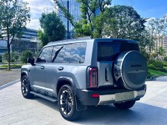 Haval Manlong Gasoline 2.0T 4WD Ultra - ფოტო 7