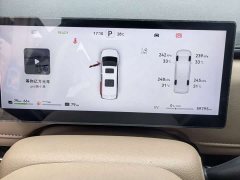Ruifeng RF8 PHEV Edition 1.5T 150KM Flagship Version - photo 15