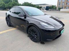 Tesla Model Y Rear-Wheel Drive - ფოტო 3