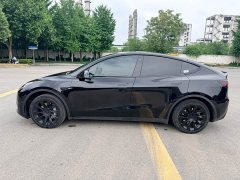 Tesla Model Y Rear-Wheel Drive - ფოტო 8