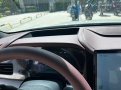BYD Dolphin 07 DM-i 2026 DM-i 1.5T 230km Flagship - ფოტო 10