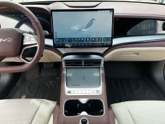 BYD Dolphin 07 DM-i 2026 DM-i 1.5T 230km Flagship - ფოტო 8