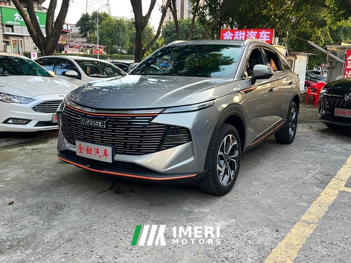 Haval Divine Beast 2022 1.5T Smart Enjoy Edition - ავტომობილი ჩინეთიდან