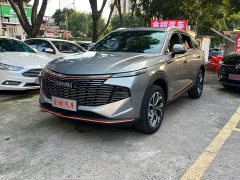 Haval Divine Beast 2022 1.5T Smart Enjoy Edition - ფოტო 1