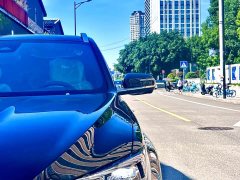 Geely Xingyue L Oriental Radiance 2.0T Auto Star Collection Edition - ფოტო 4