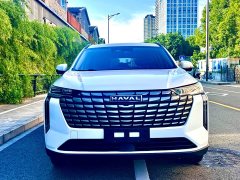 Haval H6 1.5T 2WDUltra - ფოტო 2