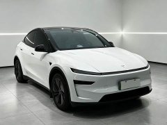 Tesla Model Y 2025 Rear-Wheel Drive - ფოტო 3