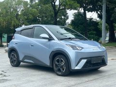 BYD Seagull Glory Edition 305km Freedom Version - ფოტო 3