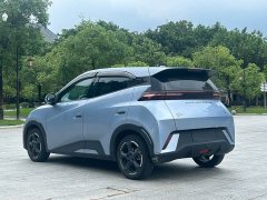 BYD Seagull Glory Edition 305km Freedom Version - ფოტო 7