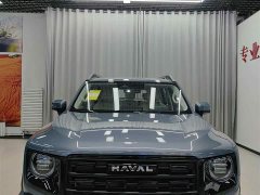 Great Wall Haval Big Dog Dachshund 2.0T DCT Chinese Rural Dog Edition - ფოტო 2