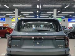 Great Wall Haval Big Dog Dachshund 2.0T DCT Chinese Rural Dog Edition - ფოტო 5