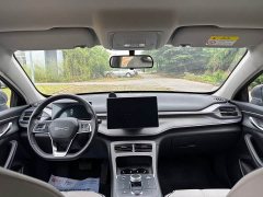 BYD Destroyer 05 Glory Edition DM-i 120KM Luxury - ფოტო 8