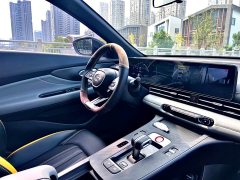 Trumpchi Leopard 270T DCT J11 - ფოტო 14