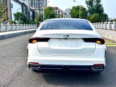 Trumpchi Leopard 270T DCT J11 - ფოტო 6