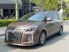 Buick GL8 Land Business Class 652T Luxury - ფოტო 1