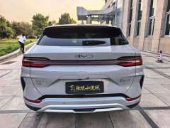 BYD Song Plus New Energy New Energy DM-i 112KM Luxury Edition - ფოტო 4