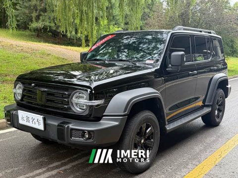 2025 Tank 300 2024 2.0T Challenger - ავტომობილი ჩინეთიდან
