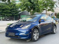 Tesla Model Y Long Range All-Wheel Drive 3D7 - ფოტო 1