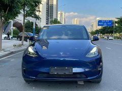 Tesla Model Y Long Range All-Wheel Drive 3D7 - ფოტო 2
