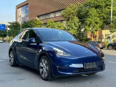 Tesla Model Y Long Range All-Wheel Drive 3D7 - ფოტო 3