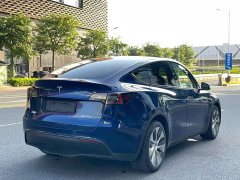 Tesla Model Y Long Range All-Wheel Drive 3D7 - ფოტო 7