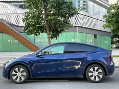 Tesla Model Y Long Range All-Wheel Drive 3D7 - ფოტო 8