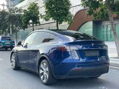 Tesla Model Y Long Range All-Wheel Drive 3D7 - ფოტო 9