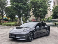 Tesla Model 3 Rear-Wheel Drive - ფოტო 1