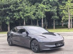 Tesla Model 3 Rear-Wheel Drive - ფოტო 3