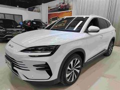 BYD Song Plus New Energy New Energy DM-i 110km Flagship Honors Edition - ფოტო 1