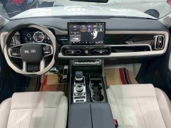 Beijing Jeep BJ60 2022 May Day Edition 5-Seater - ფოტო 7