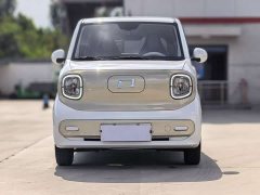 FAW Besturn Xiaoma 222km Dynamic Edition - ფოტო 2